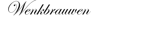 Wenkbrauwen